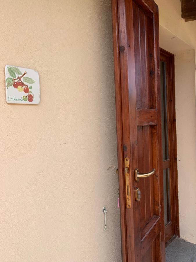 Agriturismo Terra Noas Villaurbana Exterior foto
